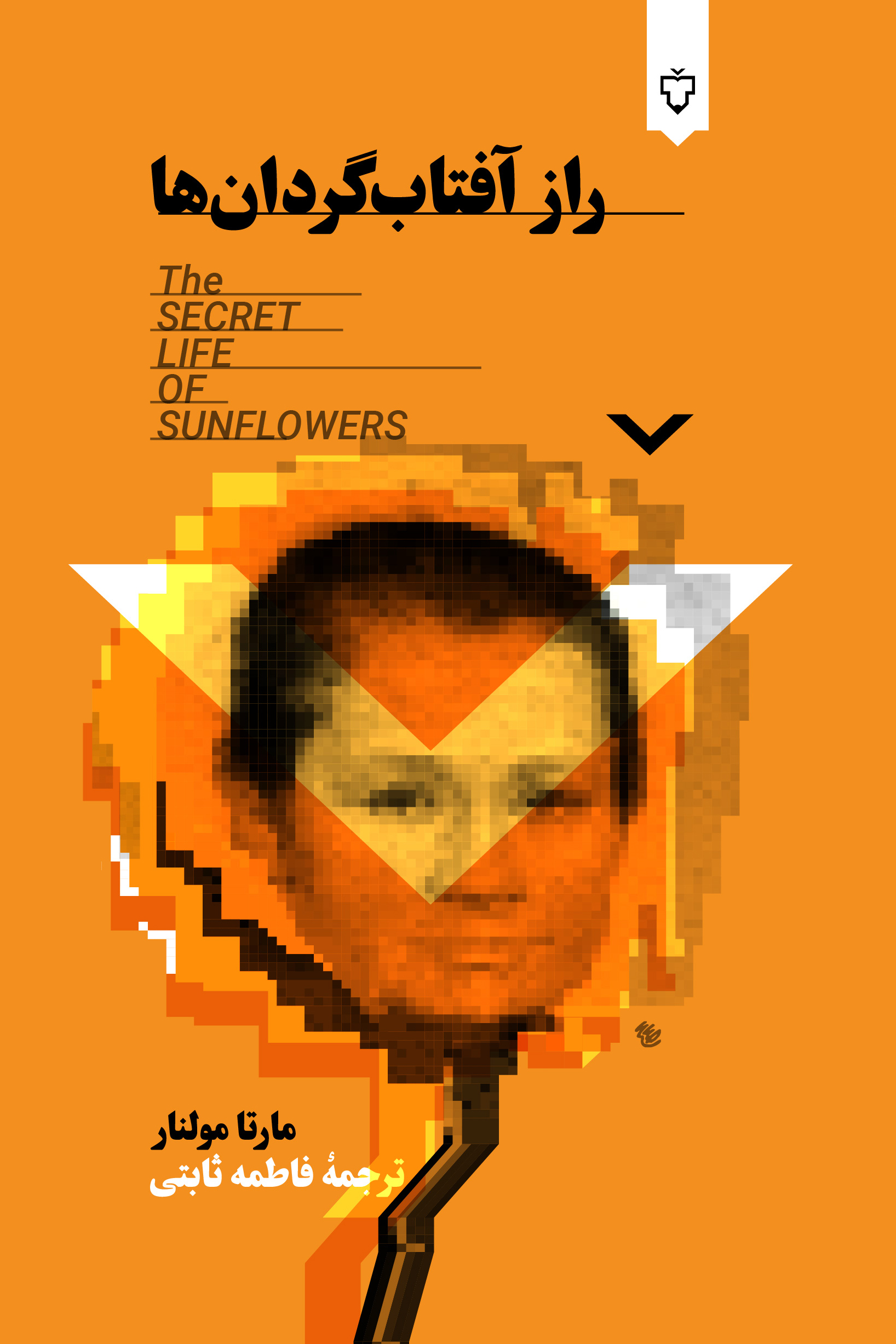 رازآفتاب گردان ها (رمان )